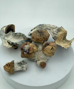 An image of Bluey Vuitton Magic Mushroom | 3.5 Grams