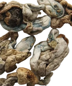 An image of Snow Caps Tron Magic Mushrooms | 3.5 Grams