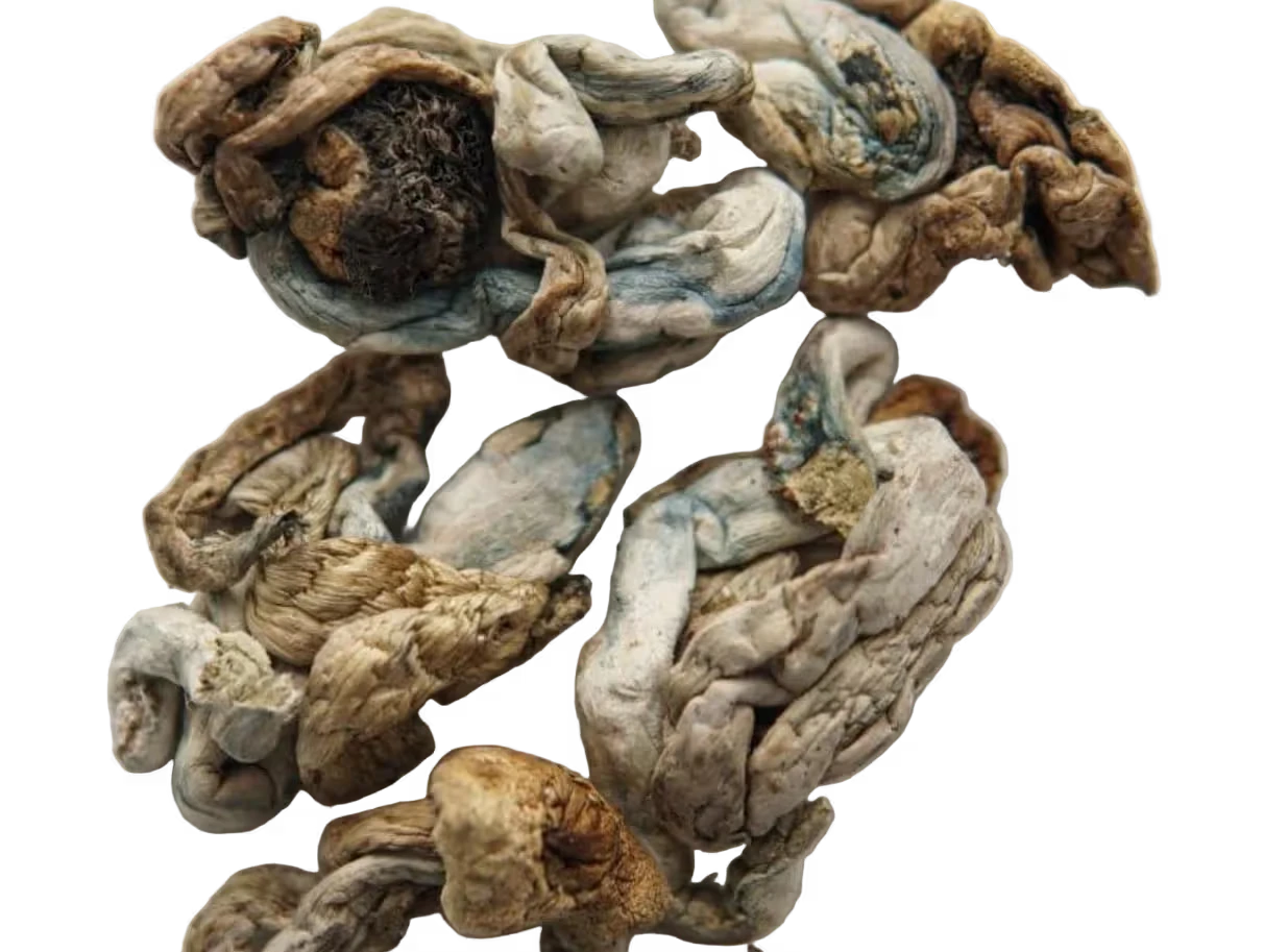 An image of Snow Caps Tron Magic Mushrooms | 3.5 Grams