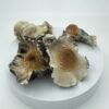 An image of Hillbilly Pumpkin Magic Mushroom | 3.5 Grams
