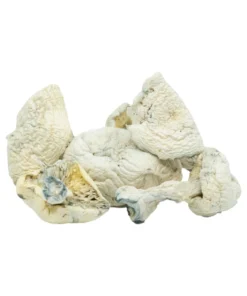 An image of Snow Caps Iceberg Magic Mushrooms | 3.5 Grams