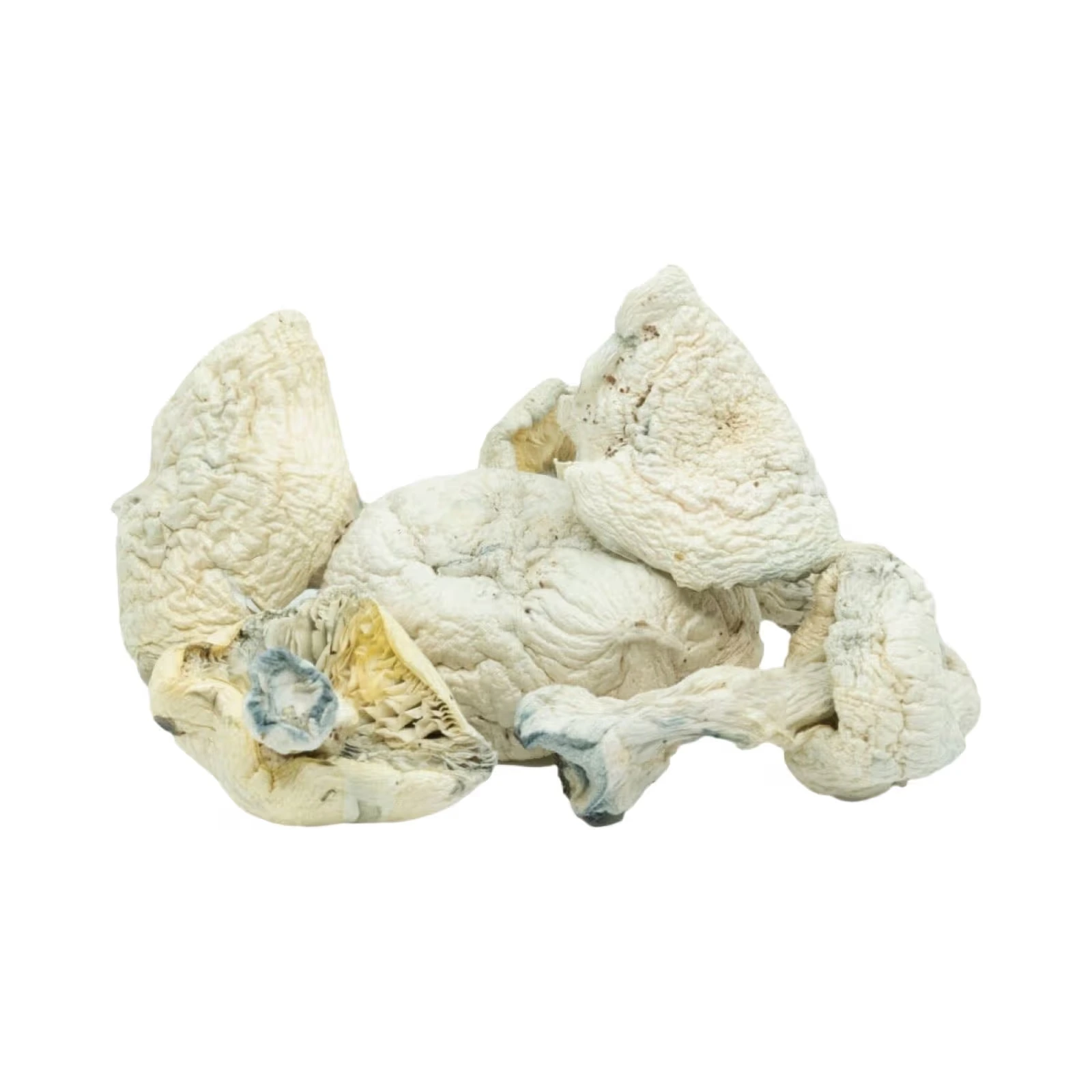 An image of Snow Caps Iceberg Magic Mushrooms | 3.5 Grams