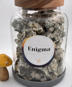 An image of Enigma Magic Mushrooms | 3.5 Grams