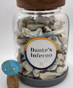 An image of Dante’s Inferno Magic Mushrooms | 3.5 Grams