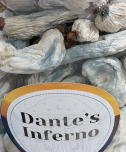 An image of Dante’s Inferno Magic Mushrooms | 3.5 Grams