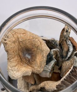 An image of Jedi Mind Fuck Magic Mushrooms | 3.5 Grams