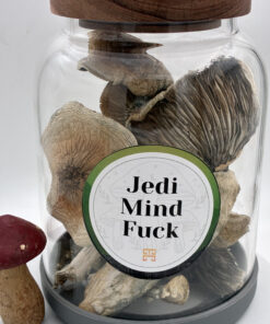 An Image of Jedi Mind Fuck Magic Mushrooms | 3.5 Grams