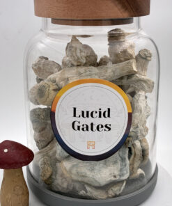 An image of Lucid Gates Magic Mushrooms | 3.5 Grams
