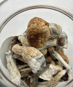 An image of Penis Envy Magic Mushrooms | 3.5 Grams