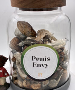 An image of Penis Envy Magic Mushrooms | 3.5 Grams