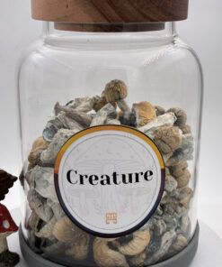 An image of Creature Magic Mushrooms | 3.5 Grams
