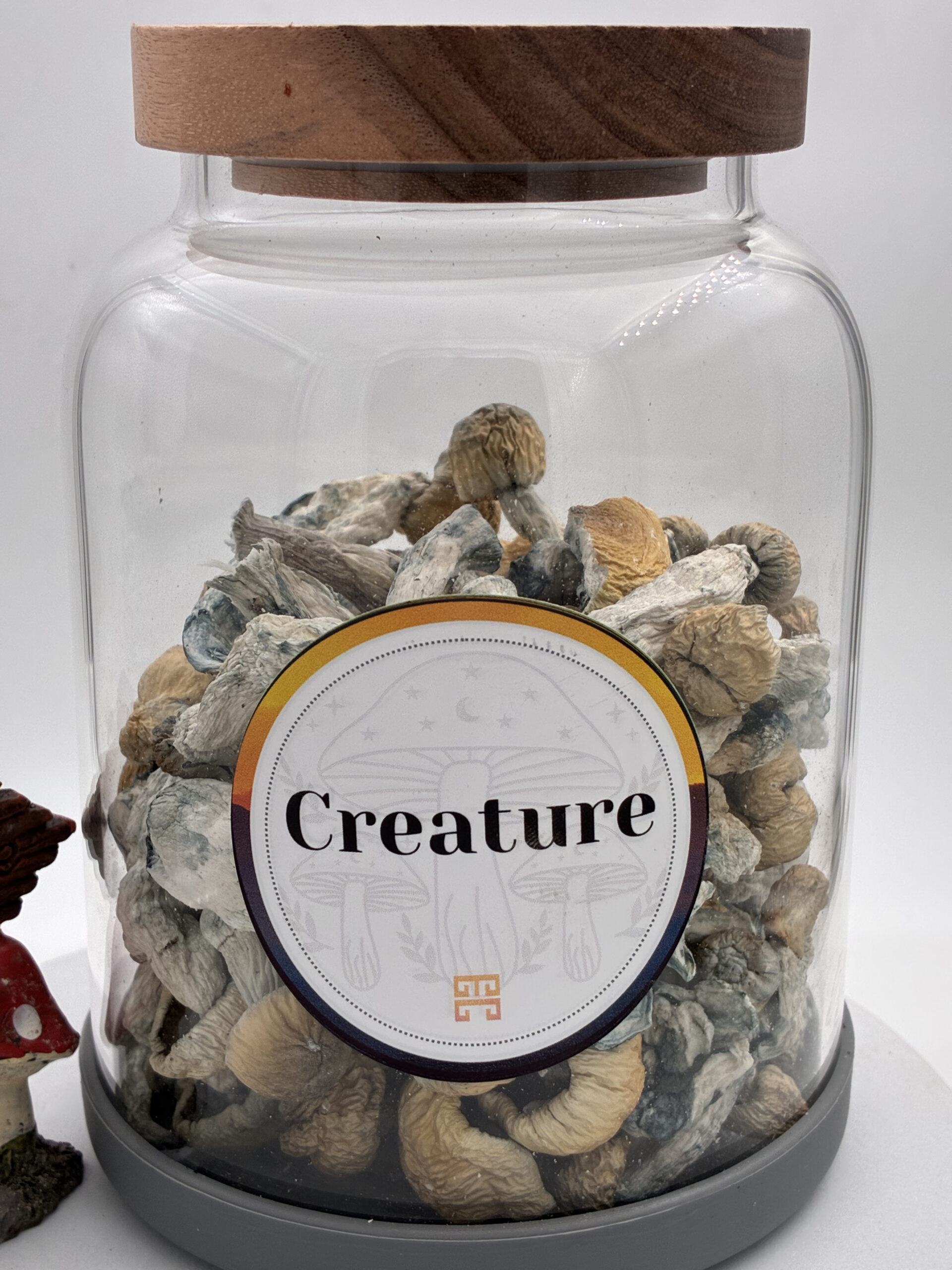 An image of Creature Magic Mushrooms | 3.5 Grams