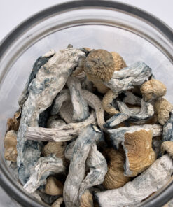 An image of Creature Magic Mushrooms | 3.5 Grams