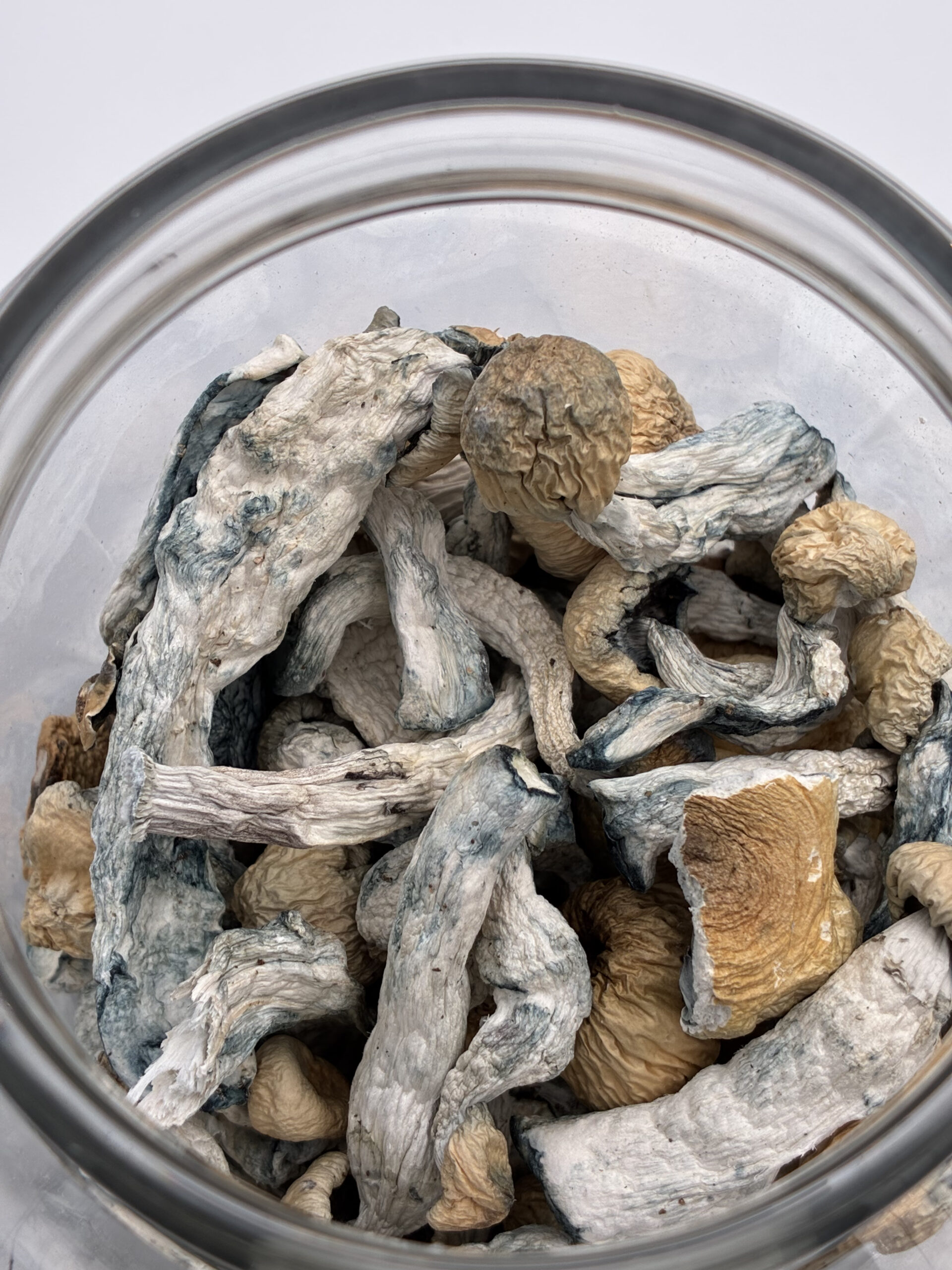 An image of Creature Magic Mushrooms | 3.5 Grams
