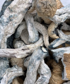 An image of Creature Magic Mushrooms | 3.5 Grams