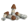 An image of Melmac Magic mushroom | 3.5 Grams