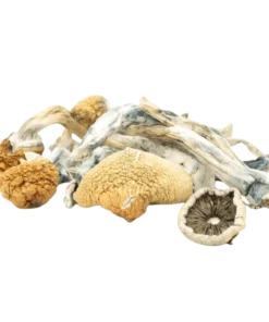 An image of Blue Meanies Magic Mushroom | 3.5 Grams