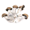 An image of Code Blue Magic Mushroom | 3.5 Grams