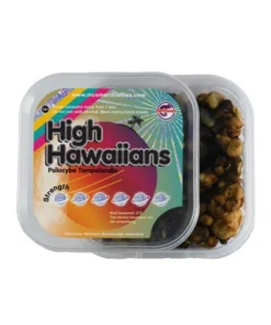 An image of High Hawaiians Magic Truffles | 25 Grams