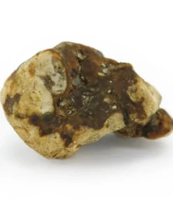 An image of Atlantis Magic Truffles | 15 Grams
