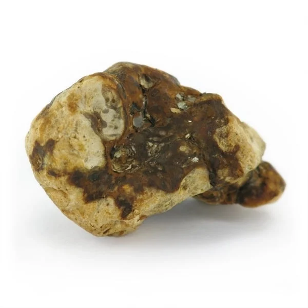 An image of Atlantis Magic Truffles | 15 Grams