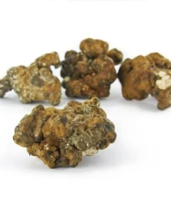 An image of Hollandia Magic Truffles | 15 Grams