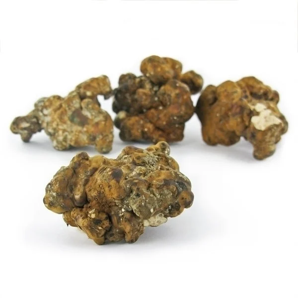 An image of Hollandia Magic Truffles | 15 Grams