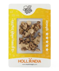 An image of Hollandia Magic Truffles | 15 Grams