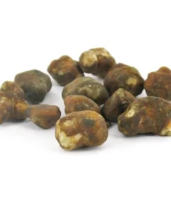 An image of Mexicana Magic Truffles | 15 Grams
