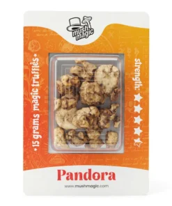 An image of Pandora Magic Truffles | 15 Grams