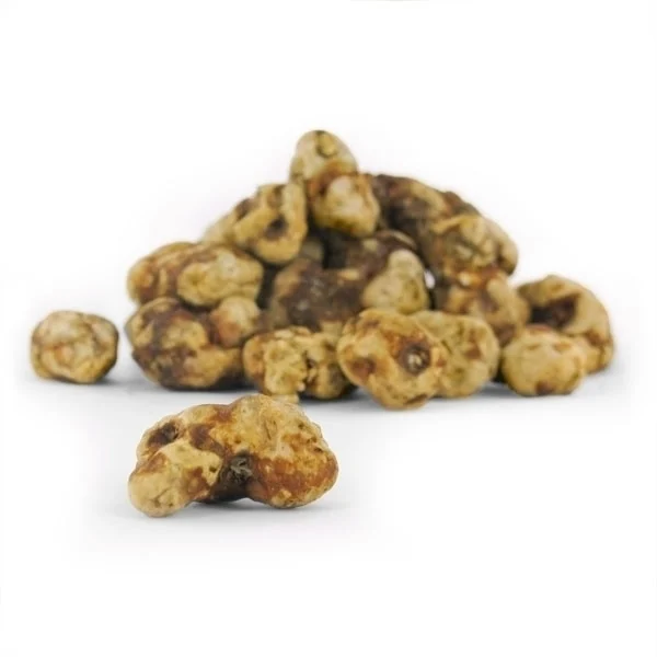 An image of Tampanensis Magic Truffles | 15 Grams