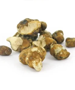 An image of Tampanensis Magic Truffles | 15 Grams