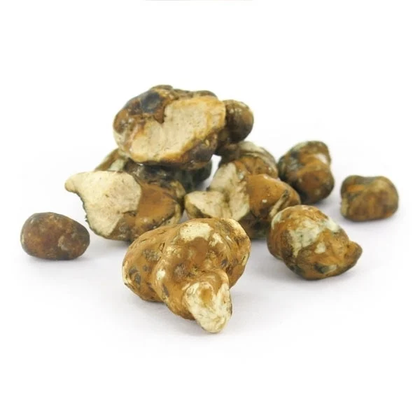 An image of Tampanensis Magic Truffles | 15 Grams