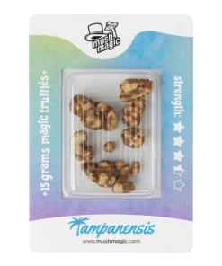 An image of Tampanensis Magic Truffles | 15 Grams