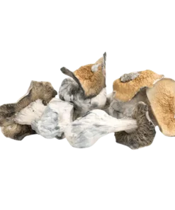 An image of Makilla Gorilla Magic mushroom | 3.5 Grams
