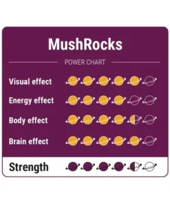 An image of MushRocks Magic Truffles | 15 Grams
