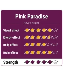 An image of Pink Paradise Magic Truffles | 15 Grams