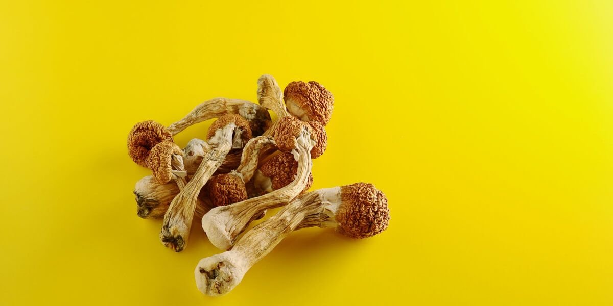 background image for mushy supply